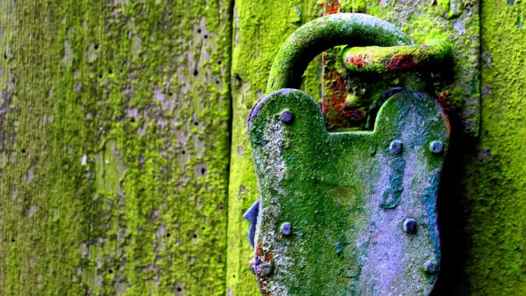 Do You Really Need SSL? Why the Padlock Matters