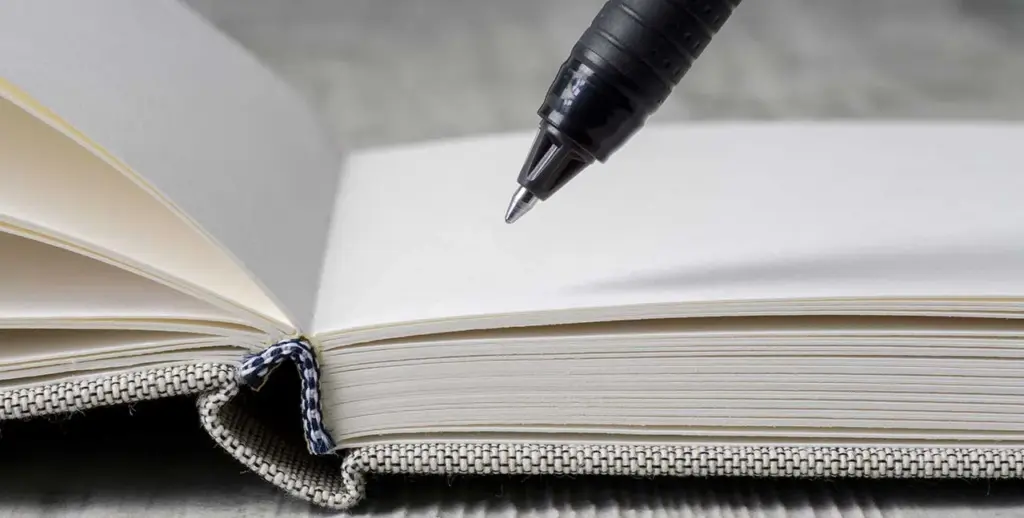 How to write an article using best SEO practices.